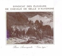 ARCHIVES Cheval d'Auvergne