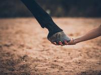 REMERCIEMENTS AUX DONATEURS